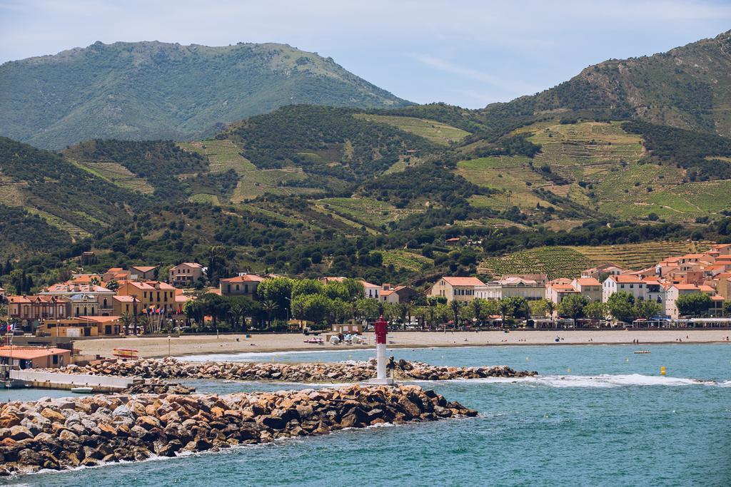 Regina'S Banyuls - Spatious Apartment Next To The Beach Esterno foto