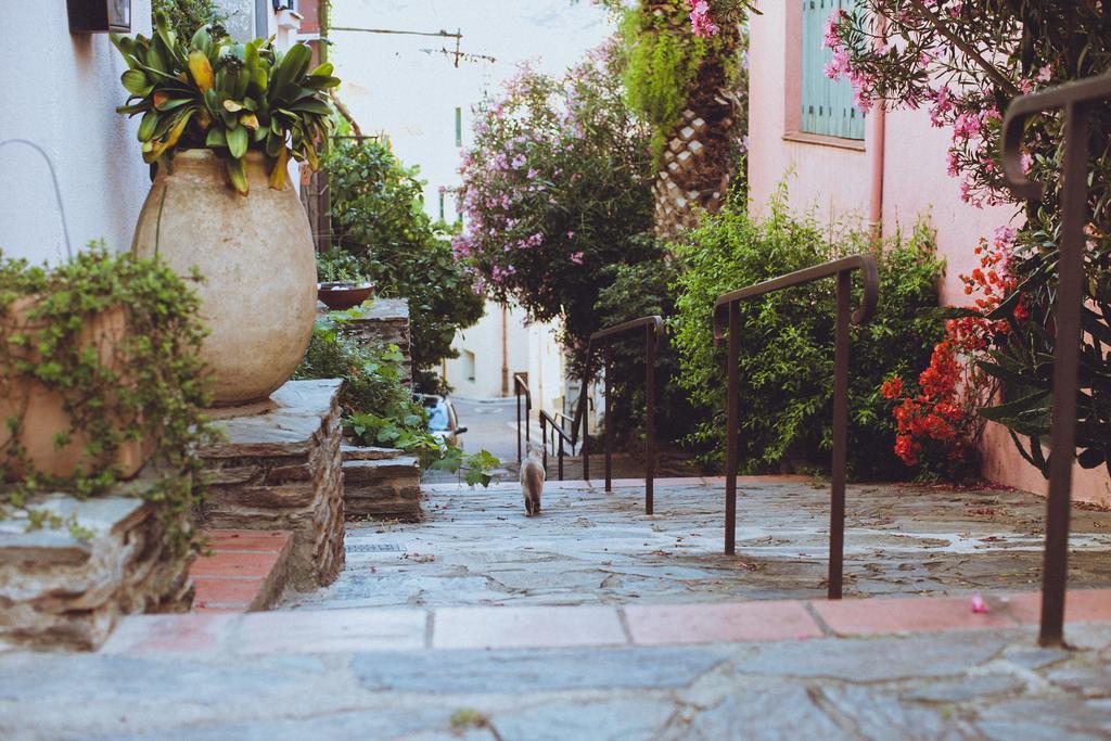 Regina'S Banyuls - Spatious Apartment Next To The Beach Esterno foto